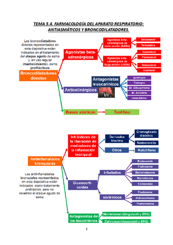 TEMA-5.4.-FARMACOLOGIA-DEL-APARATO-RESPIRATORIO-ANTIASMATICOS-Y-BRONCODILATADORES-23-24.pdf