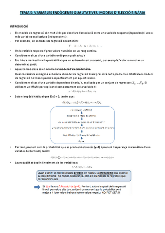 Apunts-Econometria-Temes-5-9.pdf