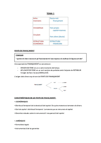 Apunts-Direccio-Financera-II.pdf