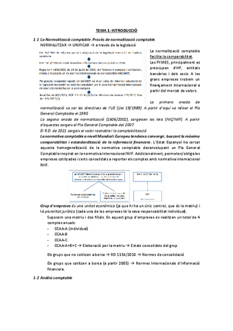Apunts-Interpretacio-dEstats-Financers.pdf