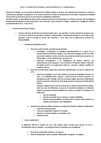 TEMA-1.-EL-DERECHO-DEL-TRABAJO-FUENTES-NORMATIVAS-Y-FUNCION-SOCIAL.pdf