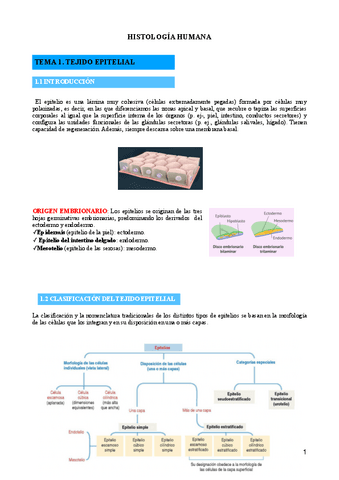 TEMA-1-TEJIDO-EPITELIAL.pdf