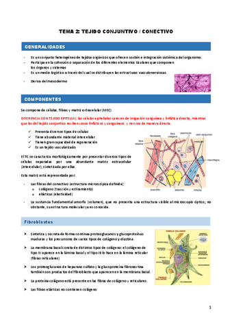 TEMA-2.-Tejido-conjuntivo.pdf