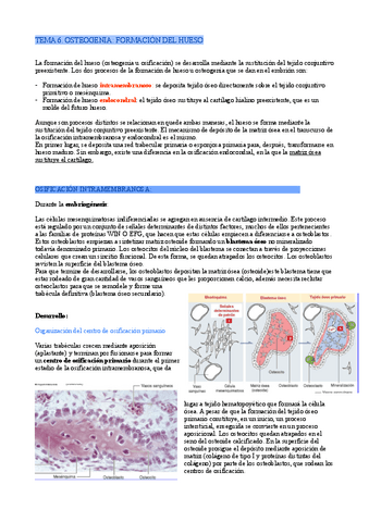 Tema-6-Osteogenesis.pdf