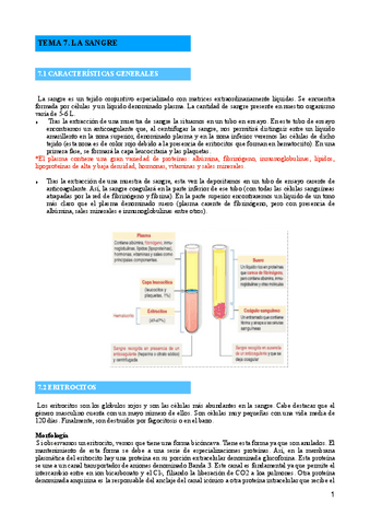 TEMA-7-LA-SANGRE.pdf