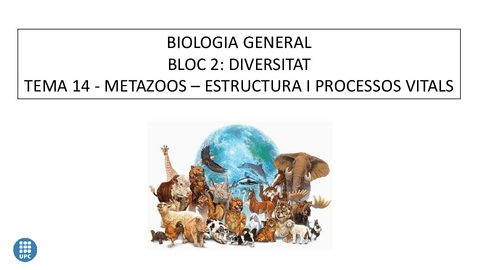 1-Metazoos-Estructura-i-processos-vitals.pdf