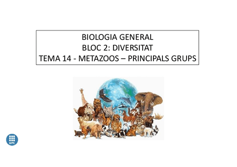 3-Metazoos-Principals-grups.pdf