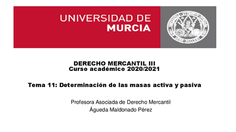 TEMA-11-DETERMINACION-DE-LAS-MASAS-ACTIVA-Y-PASIVA.pdf