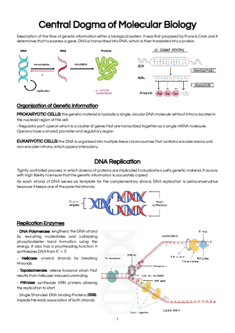 MCMCMB-CE1-Central-Dogma-of-Molecular-Biology.pdf