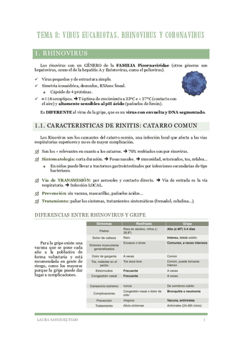 Tema-8-Rhinovirus-y-coronavirus.pdf
