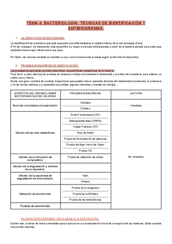 Tema-4-micro.pdf