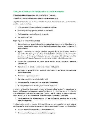 TEMA-8.pdf