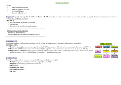 T1-Introduccion.pdf