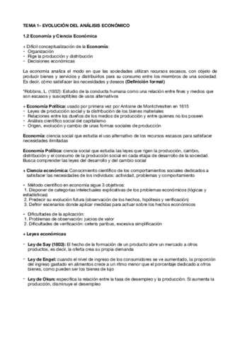 Tema-1-Economia.pdf