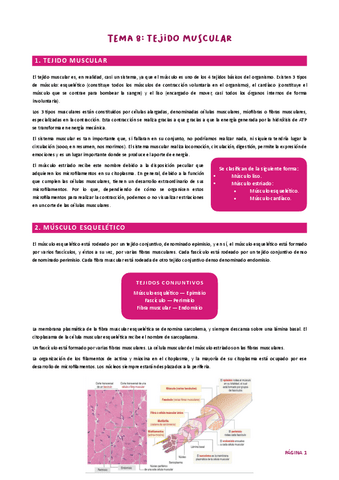 Tema 8. Muscular HH UJA.pdf