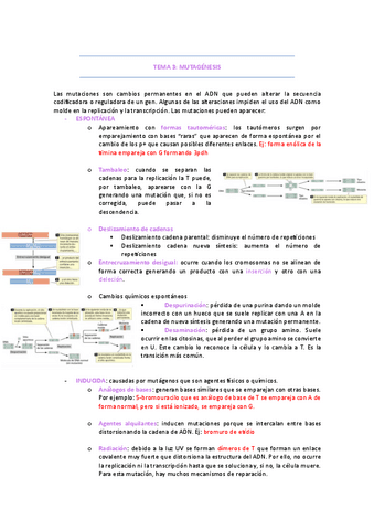 Tema-3-mutagenesis.pdf
