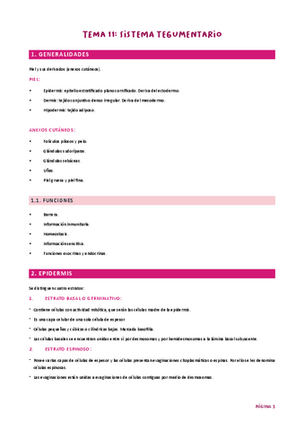 Tema 11. Tegumentario HH UJA.pdf