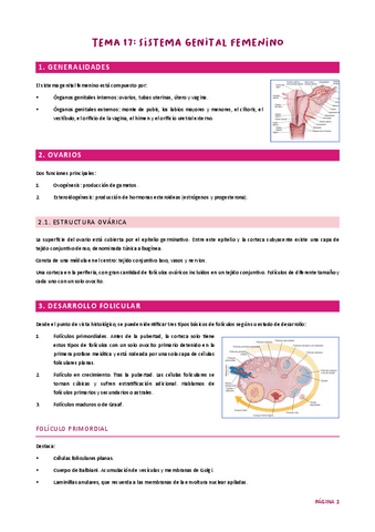 Tema 17. Genital fem. HH UJA.pdf