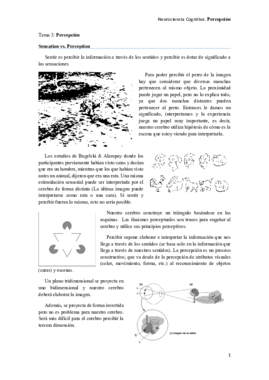 tema 3nc.pdf