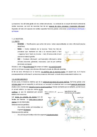 T1-T2-T3-T4-nomes-teoria-classe-no-els-videos.pdf