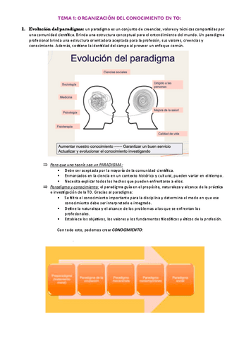t-1-organizacion-conocimiento-TO.pdf