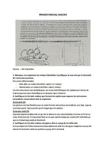 revisio-primer-parcial-macro.pdf