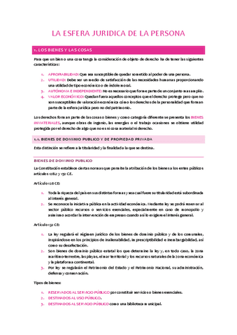 T9-La-esfera-juridica-de-la-persona.pdf