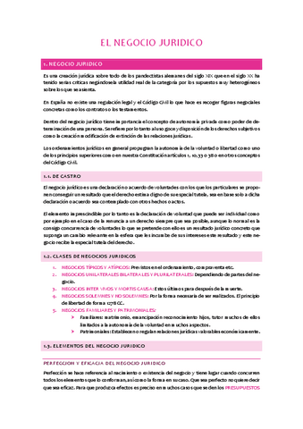 T12-El-negocio-juridico.pdf