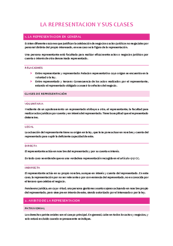 T13-La-representacion-y-sus-clases.pdf
