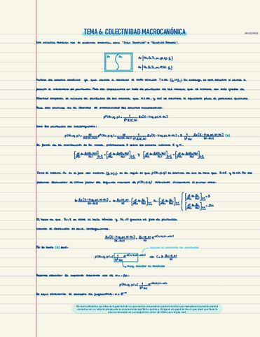 TEMA-7-COLECTIVIDAD-MACROCANONICA.pdf