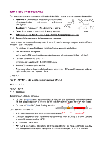 T4.-Receptores-nucleares.pdf