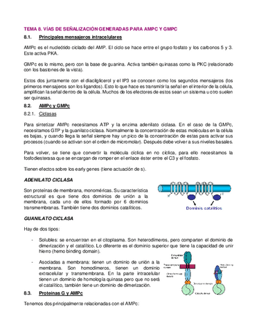 T8.-Vias-de-AMPc-y-GMPc.pdf