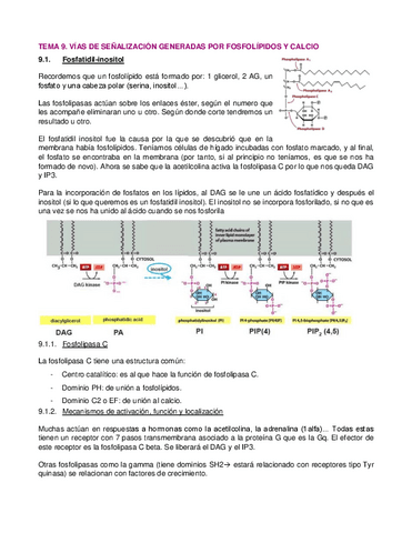 T9.-Vias-de-senalizacion-por-fosfolipidos-y-calcio.pdf