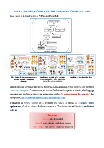 Apuntes-Tema-2-Didactica-de-la-Numeracion.pdf