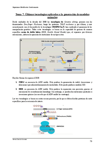TEMA-7-ULTIMAS-TECNOLOGIAS-ORGANISMOS-MODIFICADOS-GENETICAMENTE.pdf