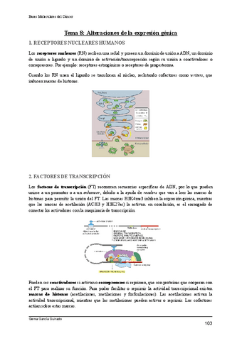 TEMA-8-ALTERACIONES-DE-LA-EXPRESION-GENICA-BASES-MOLECULARES-DEL-CANCER.pdf