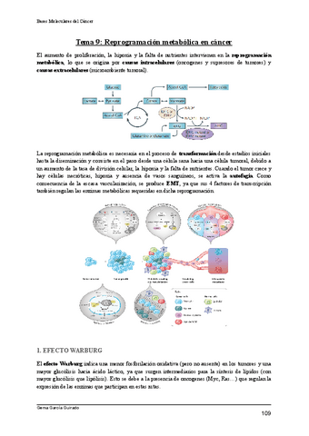 TEMA-9-METABOLISMO-BASES-MOLECULARES-DEL-CANCER.pdf