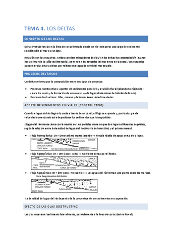 tema4MS.pdf