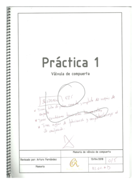 Práctica 1. Corregida.pdf
