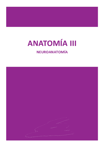 Apuntes-NEUROANATOMIA-curso-2324.pdf