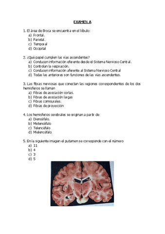 Examenes-Tipo-Test-Anatomia.pdf