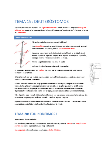 ResumenParcial4.pdf
