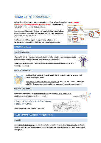 ResumenParcial1.pdf