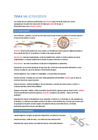 ResumenParcial3.pdf