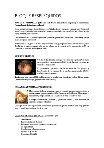RESPI-EQUIDOS.pdf