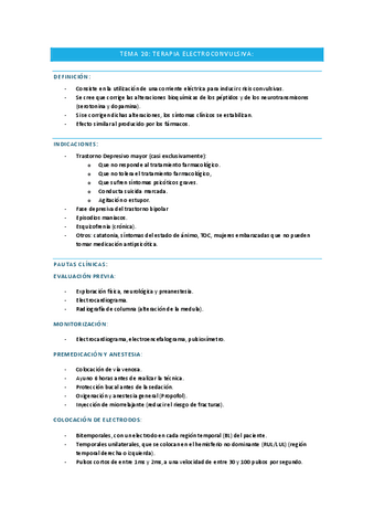 TEMA-20.pdf