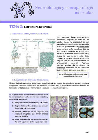 T3-NEURO.pdf