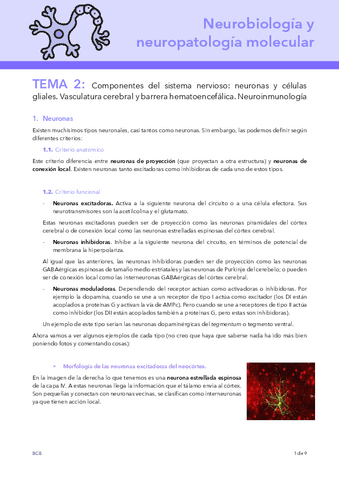 T2-NEURO.pdf