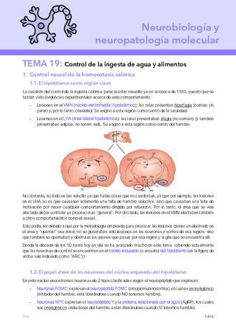 T19-NEURO.pdf
