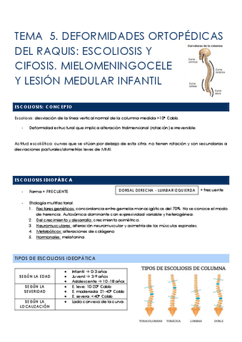 TEMA-5-DEFORMIDADES-ORTOPEDICAS-DEL-RAQUIS-ESCOLIOSIS-Y-CIFOSIS.-MIELOMENINGOCELE-Y-LESION-MEDULAR-INFANTIL.pdf